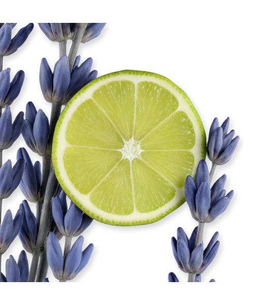 Parfums de Marly<br>Percival<br>Eau the Parfum<br>125ml / 4.2 Fl. oz