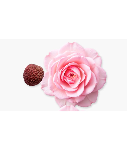 Parfums de Marly<br>Delina Eau de Parfum<br>75 ml / 2.5 Fl. Oz. Parfums de Marly<br>Delina Eau de Parfum<br>75 ml / 2.5 Fl. Oz.