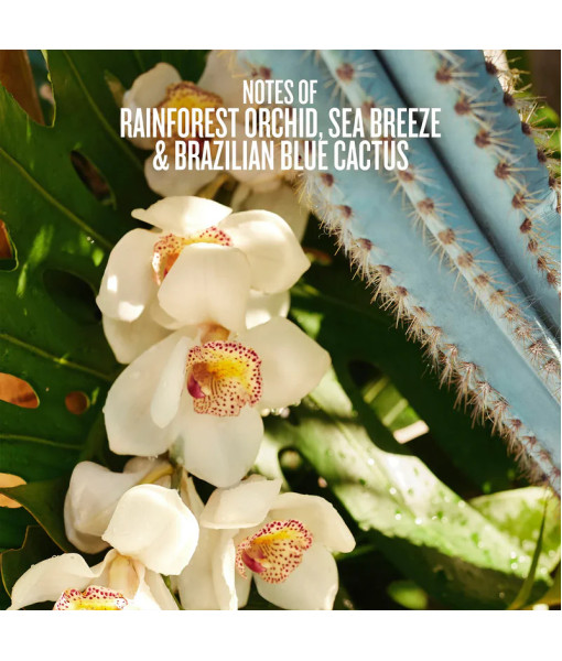 Sol de Janeiro<br>Refresco Paraíso<br>Brume parfumée Édition limitée<br>90 ml / 3 fl. oz.