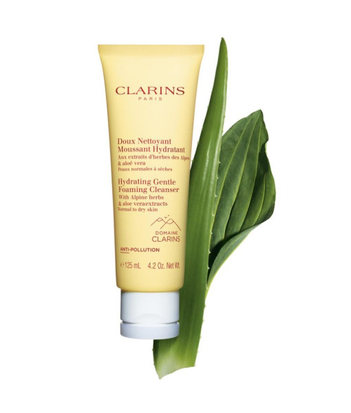 Clarins<br>Gentle Foaming Cleanser with Cottonseed<br>125ml / 4.4 oz