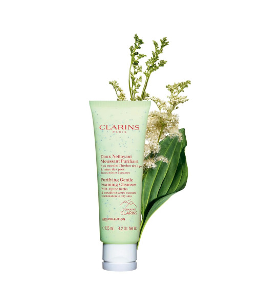 Clarins<br>Purifying Gentle Foaming Cleanser<br>125ml / 4.2 oz