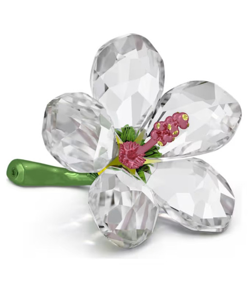 Swarovski<br>Florere Hibiscus<br>Petit modèle