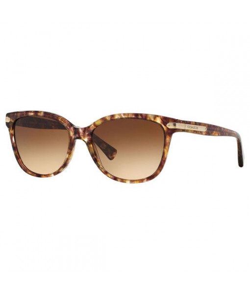 Coach<br>Sunglasses<br>HC8132 528713